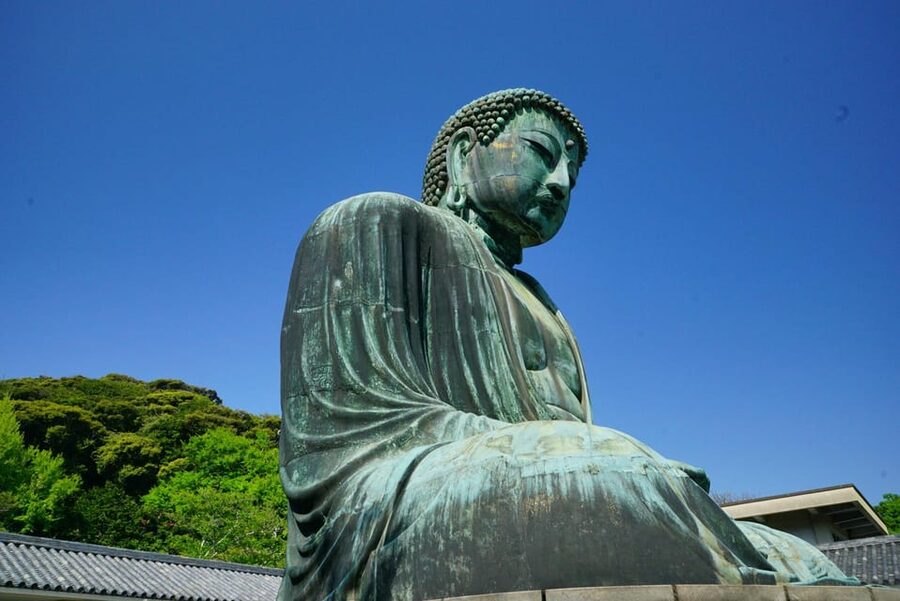 Kamakura Half Day Walking Tour with Local Experience - Hase-dera in 45 minutes: gardens, caves, and bay views that make the stop worth it