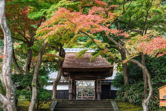 Kamakura Historical and Cultural Day Trip with Local Cuisine - Tsurugaoka Hachimangu Shrine: Power, Myth, and a Big Sense of Place
