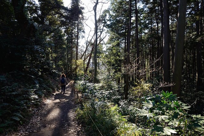Kamakura One Day Hike Tour with Government-Licensed Guide - Choosing your route, 3 to 4 stops you actually want