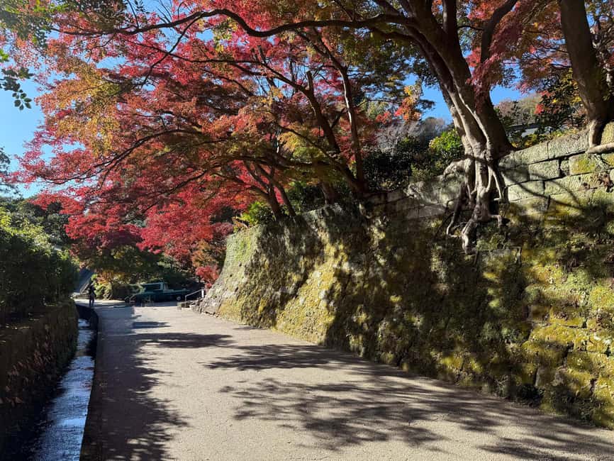 Kamakura Private & Customized Half-Day Tour with Local Guide - Kōtoku-in and Hase-dera: temple time that does not feel like a checklist
