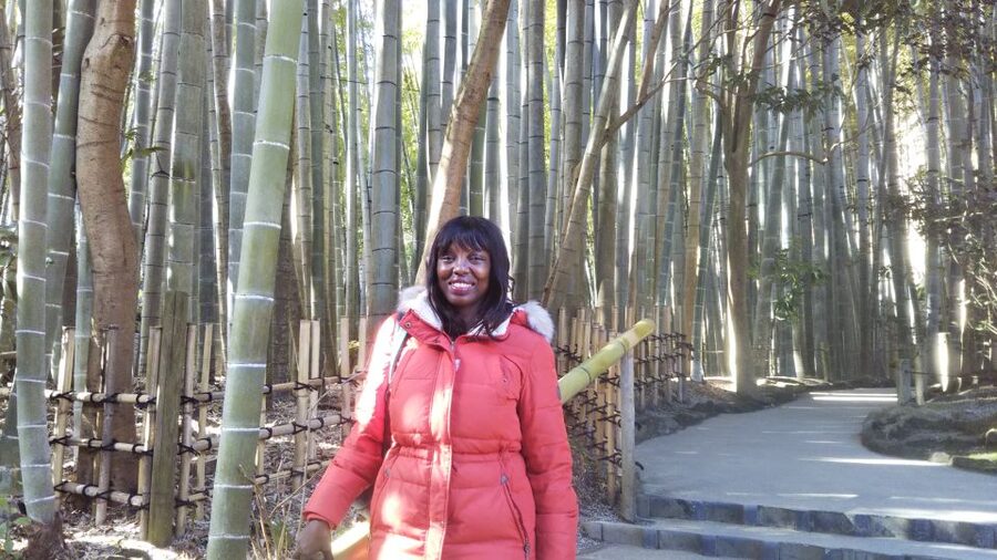 Kamakura: Private Guided Walking Tour with Local Guide - More stops your guide may add, based on what you want