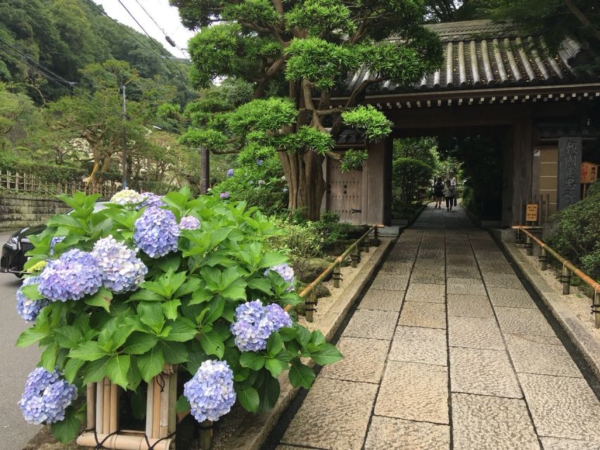 Kamakura: Private History and Heritage Tour by Rickshaw - The 1 hour 10 minute option: Hokokuji Temple gardens included