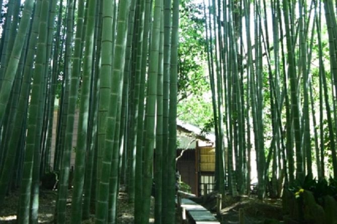 Kamakura Private Tour by Public Transportation - Tsurugaoka Hachimangu Shrine: the center of city energy