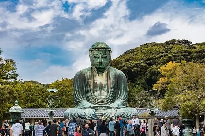 Kamakura Private Tour Great Buddha & Enoshima with English guide - Key highlights worth planning around
