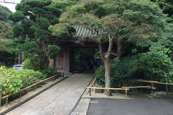 Kamakura Walking Tour with Local Guide Including Hokokuji Temple - Key Things You’ll Notice on This Kamakura Day Trip