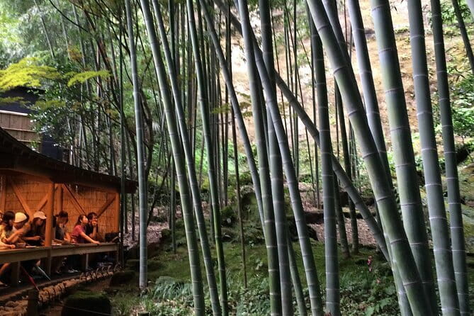 Kamakura Walking Tour with Local Guide Including Hokokuji Temple - Hotel Pickup and a 9:00 Am Start You Can Actually Use