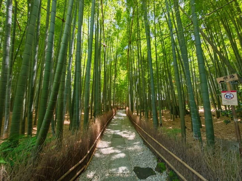 Kamakura Zen: Great Buddha, Nature, Bamboo & Samurai Culture - Hase-dera Zen spaces: Kannon, gardens, and Benzaiten cave