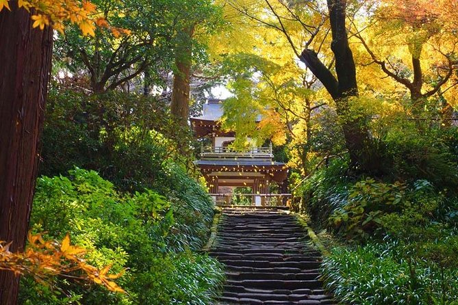 Kamakura Zen Temples and Gardens Private Trip with Government-Licensed Guide - Quick hits before you go