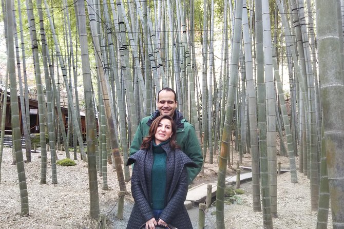 Kamakura Zen Temples and Gardens Private Trip with Government-Licensed Guide - Meigetsuin Hydrangea Temple and Hokoku-ji Bamboo: When Gardens Feel Like Characters