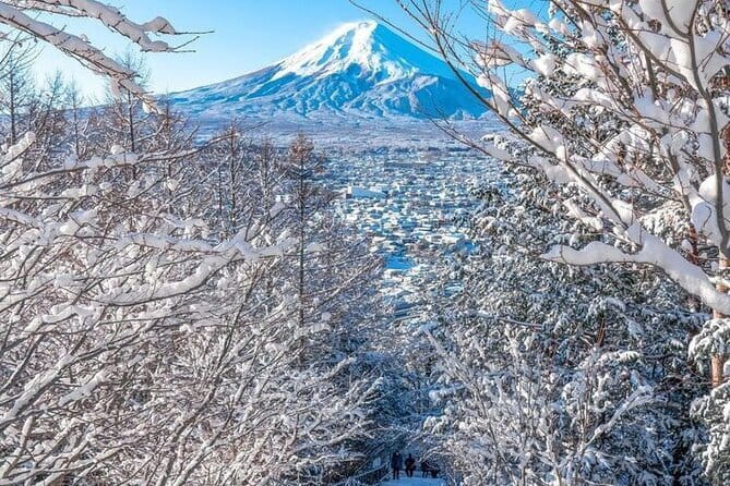 Kamkura: Private Zazen, Matcha at Bamboo Temple & Mindful Cuisine - Shojin ryori at Minemoto: eating like you mean it