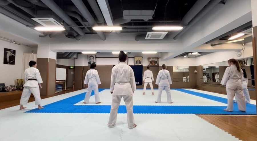 Karate Experience with the Shotokan Karate-do Instructor - Basics that actually help: striking, kicking, and stance you can feel