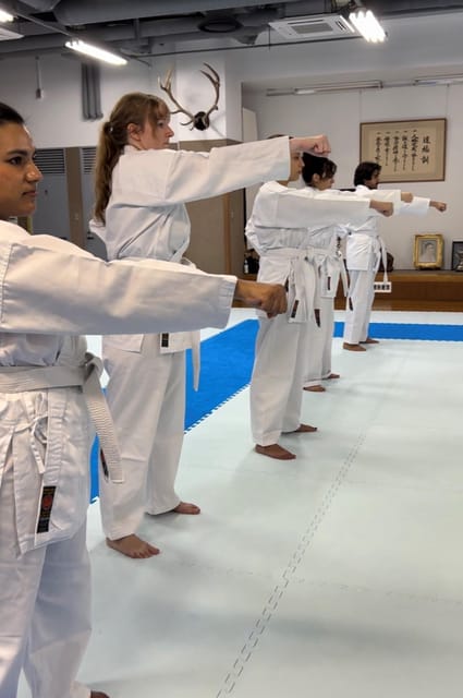 Karate Experience with the Shotokan Karate-do Instructor - Logistics that matter: where to meet, what to bring, and how to not lose time