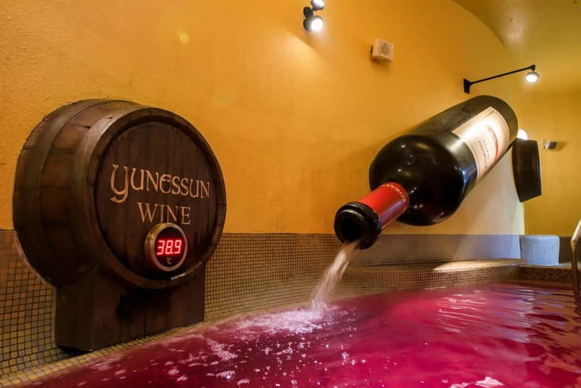 Kowakien Yunessun Hot Springs Entry Ticket - Ticket coverage and pass choices: Yunessun vs Mori no Yu