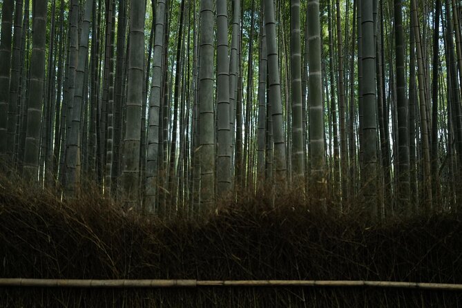 Kyoto Early Bird Tour Tokyo Round or One Way Shinkansen - Fushimi Inari-taisha: the red gates and how to not lose time