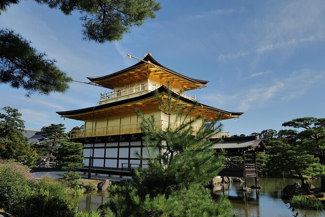 Kyoto Early Bird Tour Tokyo Round or One Way Shinkansen - Walking, trains, and heat: what your body should expect