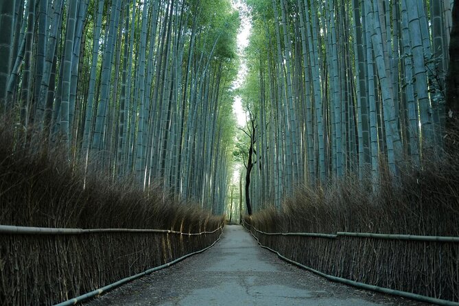 Kyoto Early Bird Tour Tokyo Round or One Way Shinkansen - Meeting point to final stop: a day with clear handoffs