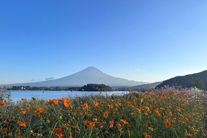 Lake Kawaguchi : Private Half Day Customized Tour w/ local guide - Oshino Hakkai: eight water sources that turn into a photo mission