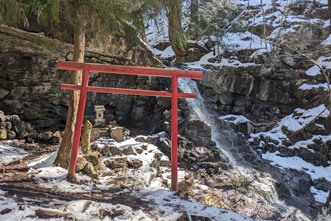 Lake Kawaguchi Private Hiking Tour with local guide - What You Might See: Shrine, Waterfall, Forest, and Caves