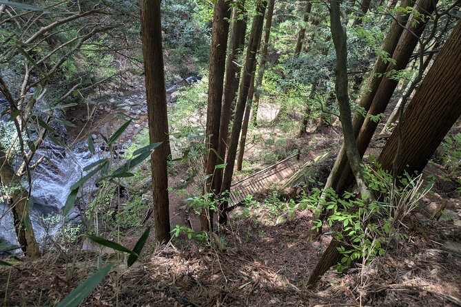 Lake Kawaguchi Private Hiking Tour with local guide - Who This Tour Is Best For (and When It Might Not Fit)