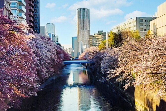 Licensed Guide Tokyo Meguro Cherry Blossom Walking Tour - Key things to know before you go