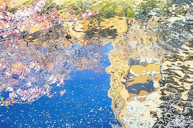 Licensed Guide Tokyo Meguro Cherry Blossom Walking Tour - Daienji Temple: Edo-era stories in a quieter stretch