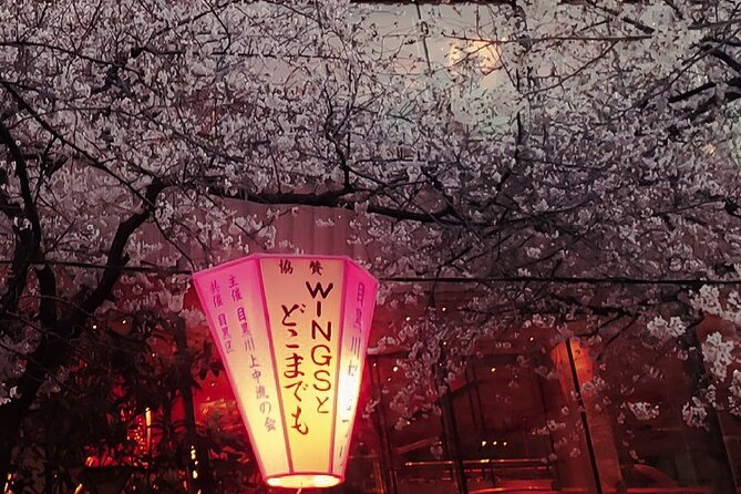 Licensed Guide Tokyo Meguro Cherry Blossom Walking Tour - Pacing, photo time, and why private attention matters