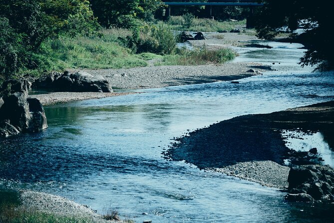 Little Adventure with Cycling in Tokyo No. 1 Crystal Clear River - Kotokuji Temple: Thatched Gate, Giant Ginkgo, and Edo-Era Atmosphere