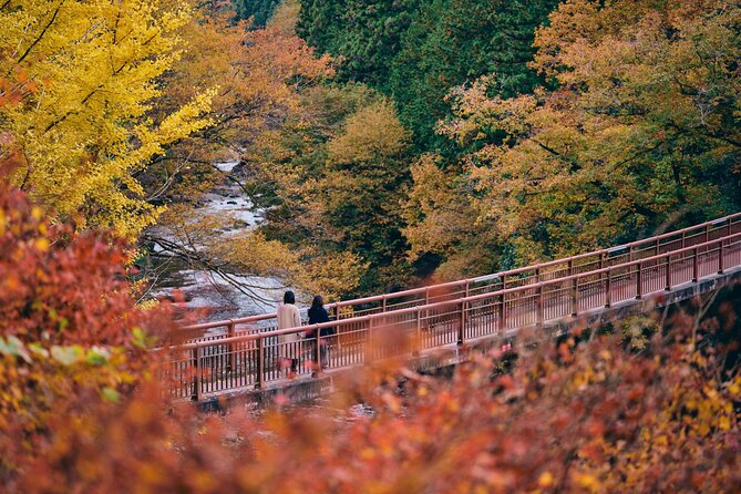 Little Adventure with Cycling in Tokyo No. 1 Crystal Clear River - River Trekking in Akigawa Valley: Fun Water Time, Clear Scenery