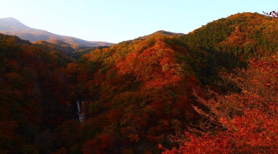 Luxury Nikko Gateway;Private Guided tour - Shinkyo Bridge and the Easy Win for Great Photos