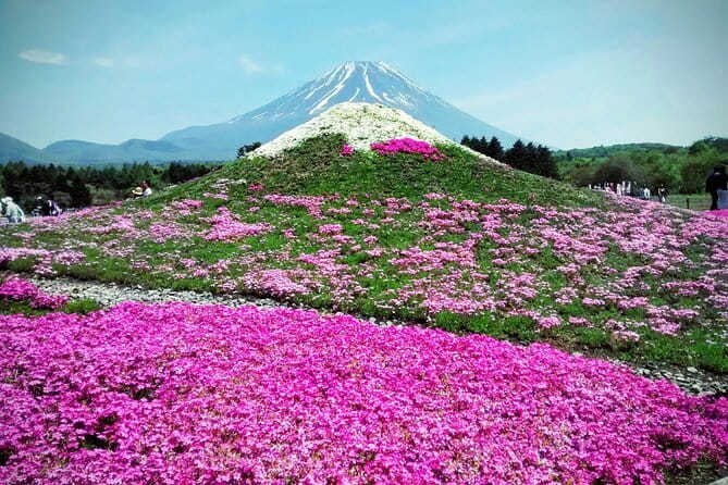Majestic Mount Fuji: Exclusive Private Day Tour - The photo lineup: Arakurayama Sengen Park to Lawson Kawaguchiko Station