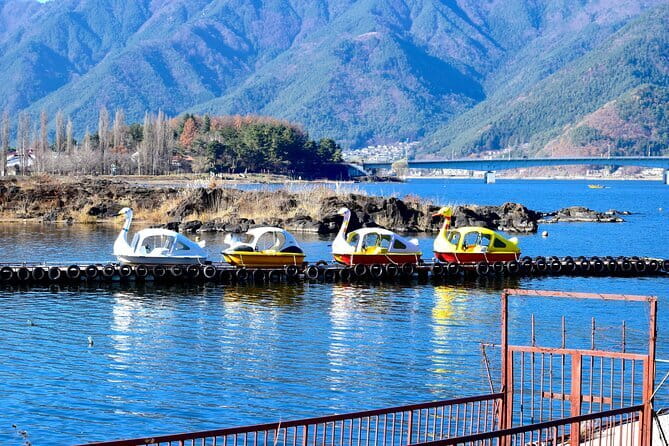 Majestic Mount Fuji: Exclusive Private Day Tour - Oshino Hakkai and Oishi Park: the day gets calmer and more scenic