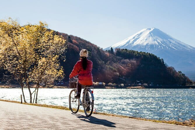 Majestic Mount Fuji: Exclusive Private Day Tour - Price and value: $530 per group, up to 5 people