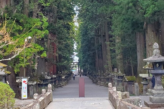Majestic Mt. Fuji & Hakone Retreat –A Private Day Tour from Tokyo - Getting picked up in Tokyo, then riding in comfort all day
