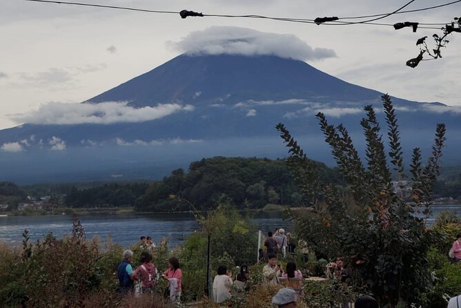 Majestic Mt. Fuji & Hakone Retreat –A Private Day Tour from Tokyo - Lake Kawaguchiko, Oshino Hakkai, and the Fuji Five Lakes water rhythm