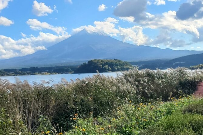 Majestic Mt. Fuji & Hakone Retreat –A Private Day Tour from Tokyo - Price and value: is $495.39 per group fair for five people?