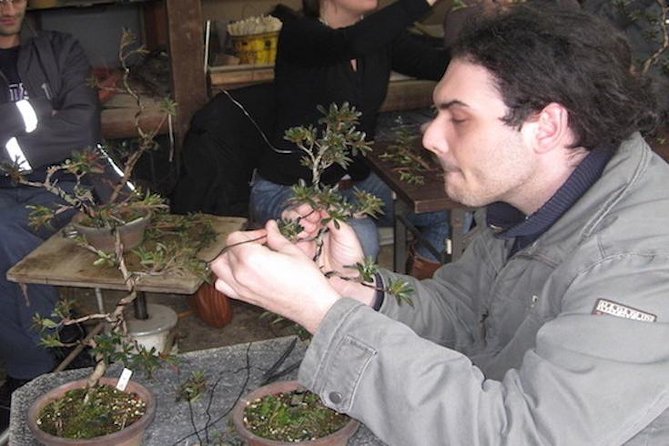 Make Your Own Bonsai with a Professional Bonsai Artist in Tokyo - Shunkaen Bonsai Museum Workshop: Why This Feels Like Real Japanese Craft