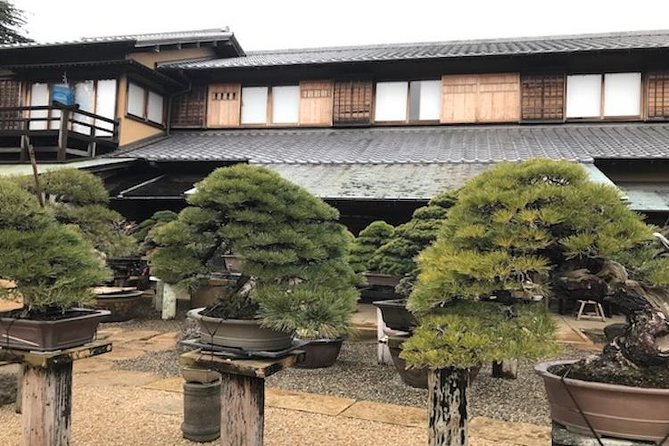 Make Your Own Bonsai with a Professional Bonsai Artist in Tokyo - The Core Experience: Your 2-Hour Bonsai-Making Lesson