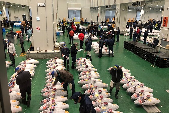 Morning Market Adventure: Toyosu & Tsukiji with Tuna Auction - Key Points You’ll Care About