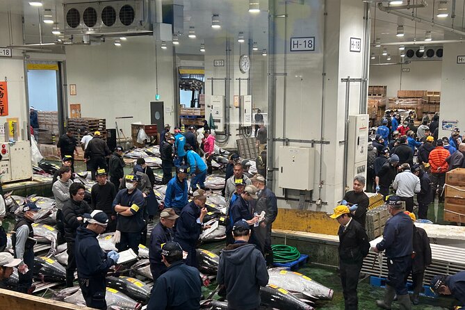 Morning Market Adventure: Toyosu & Tsukiji with Tuna Auction - Tsukiji Outer Market: Street Food Energy With Real Shopping Stops