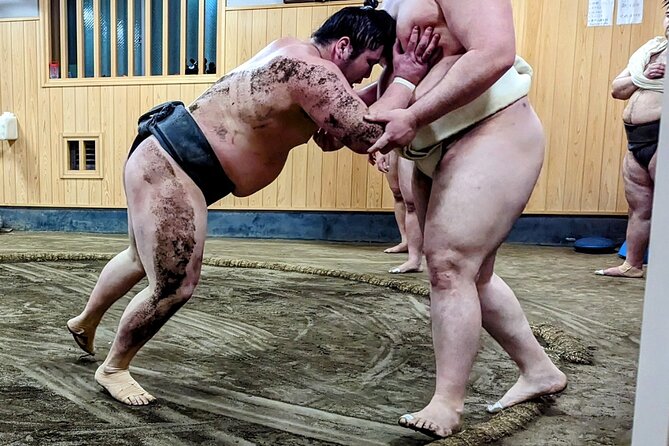 Morning Sumo Practice Viewing in Tokyo - Moving to the stable: Naruto-beya and the reality of floor seating