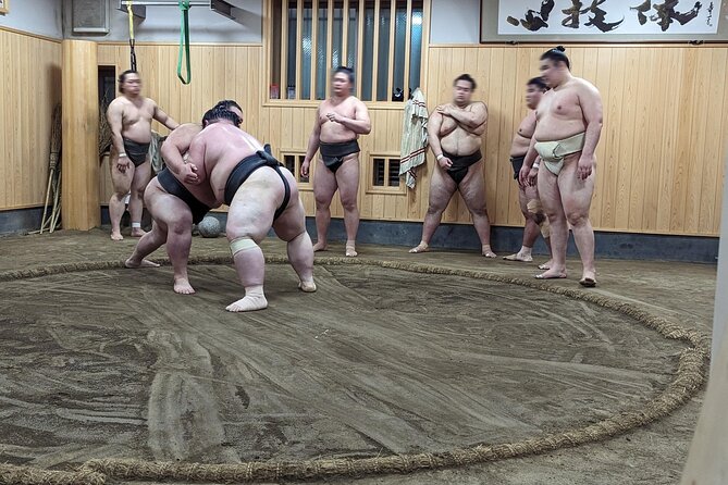 Morning Sumo Practice Viewing in Tokyo - Should you book this morning sumo practice viewing?
