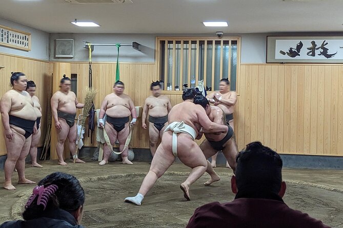 Morning Sumo Practice Viewing in Tokyo - What you’ll watch during practice: warmups, bouts, and ritual context