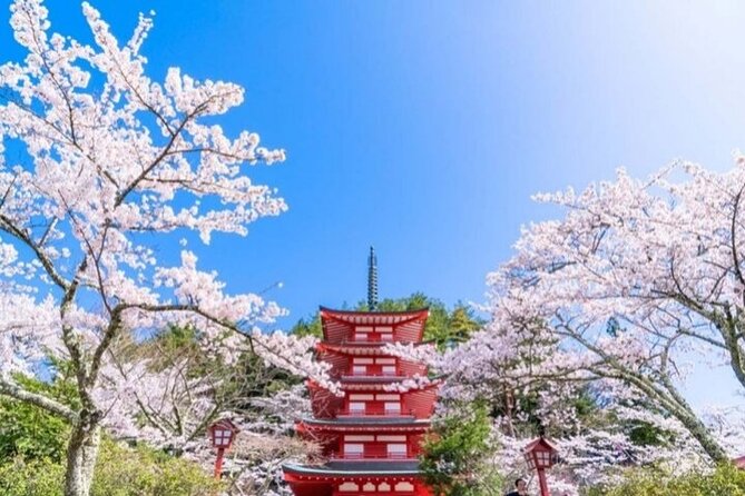 Mount Fuji 5th Station, Arakurayama, Oshino Hakkai and Hot Spring - Fuji in one focused day, and why it works