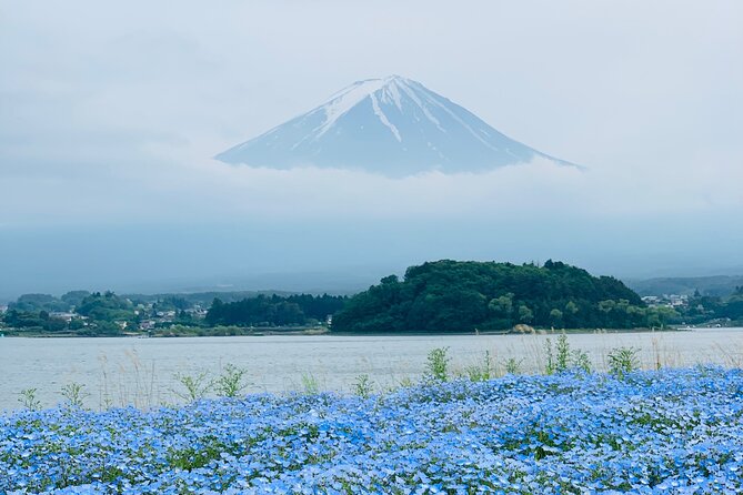 Mount Fuji Adventures Private English Tour With Hotel Pick Up - Lake Kawaguchiko: the calm middle of a long day