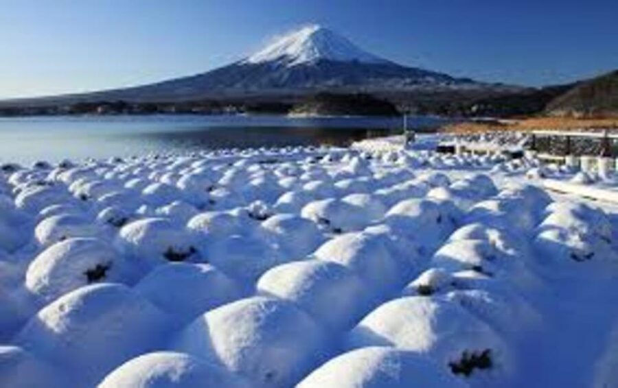 Mount Fuji and Hakone Day tour with English speaking Drivers - Starting from Tokyo, the real rhythm is timing