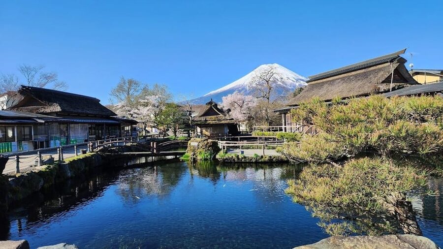 Mount Fuji and Hakone Day tour with English speaking Drivers - Itinerary A vs Itinerary B: choose your day personality