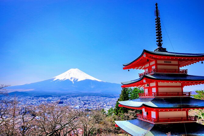 Mount fuji and Hakone Full day private sightseeing tour - Key highlights worth planning for