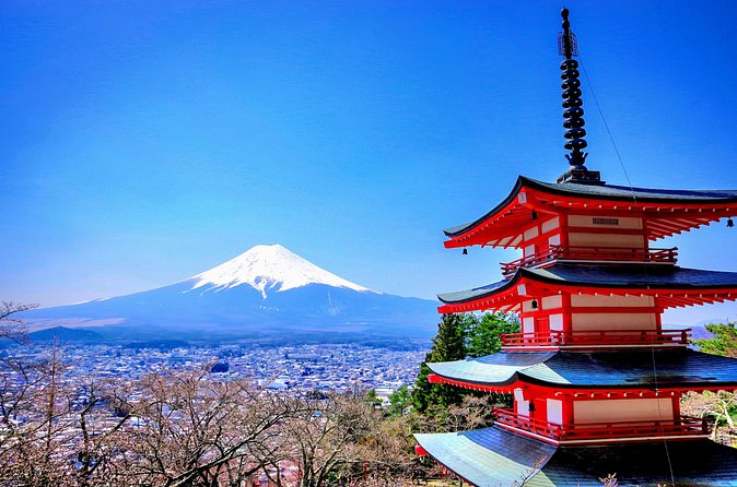 Mount fuji and Hakone Full day private sightseeing tour - Stop 3: Saiko Iyashi no Sato Nemba and a slower village break
