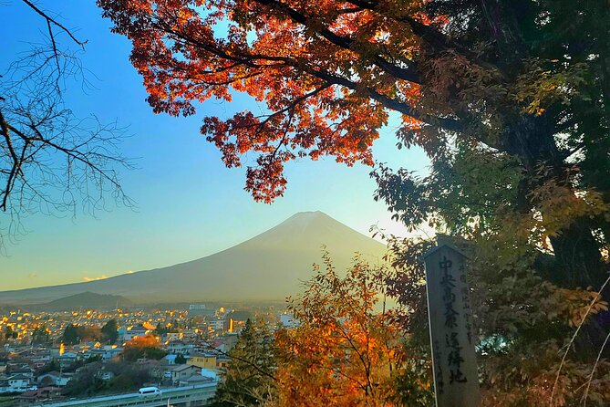 Mount fuji and Hakone Full day private sightseeing tour - Stop 6: Lake Ashinoko, pirate boat ride with Fuji views if luck is on your side