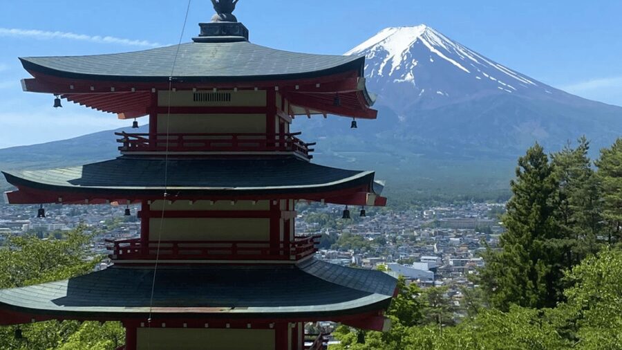 Mount fuji and Hakone full day private tour with English gui - Oishi Park: flowers plus Fuji if the sky cooperates